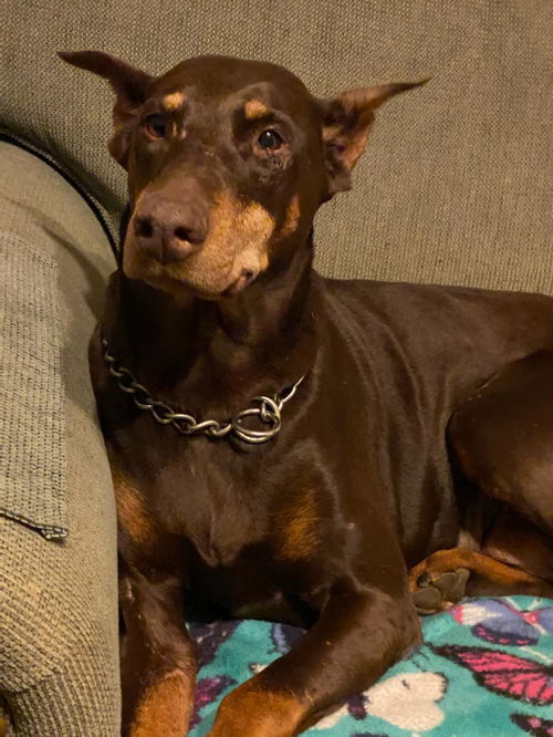 Roxie
