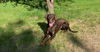 Piper Foster needed!