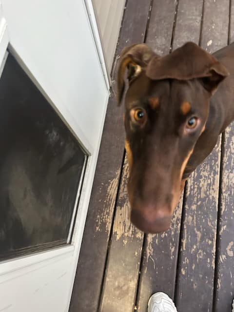 Rosie