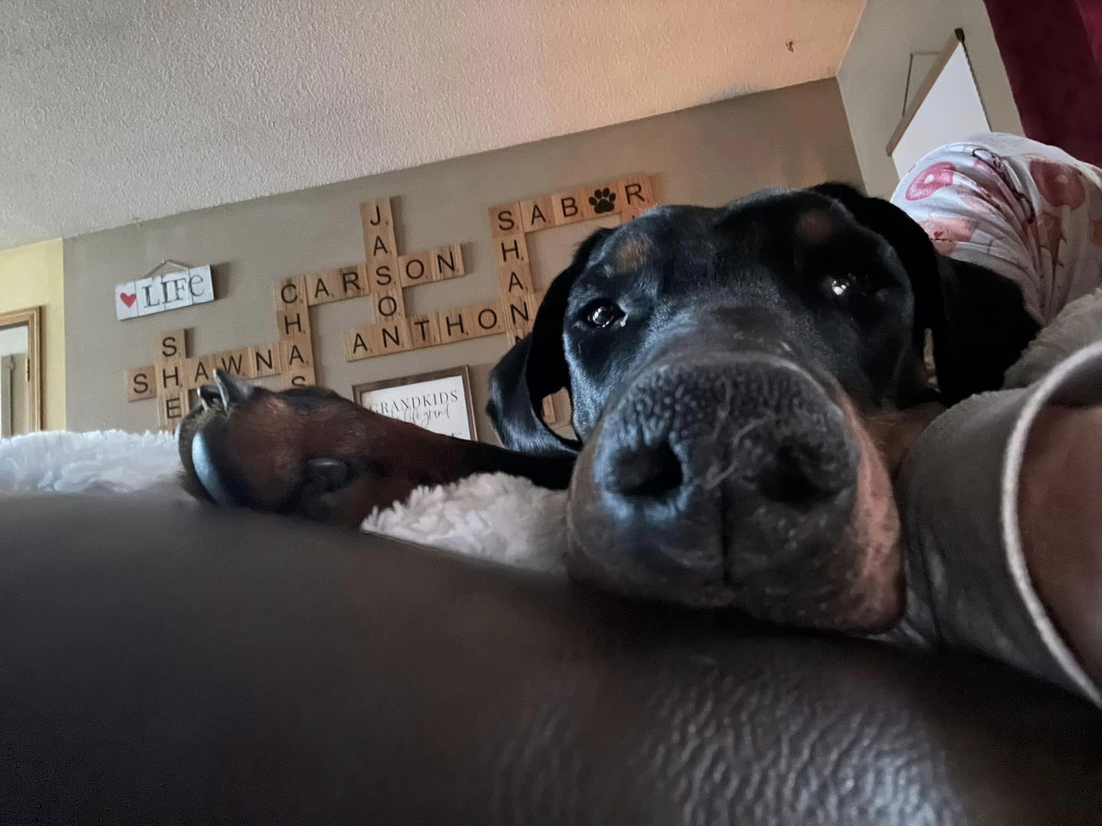 Snoop