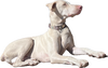 Casper