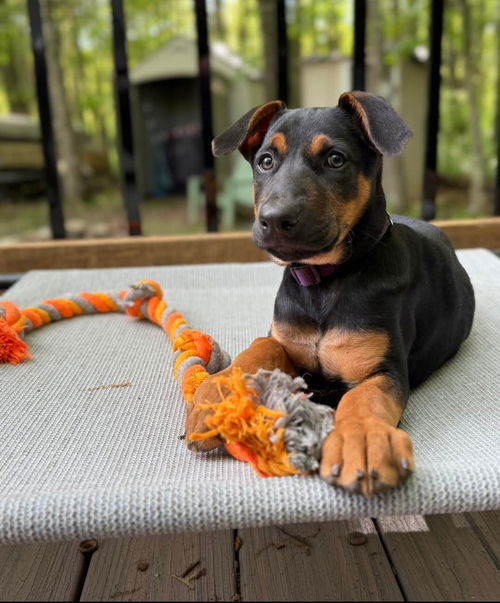 Lena