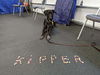 Kipper