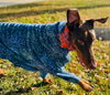 Mishka-Adoption Pending