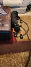 Roscoe