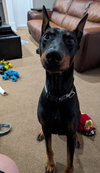 Roscoe