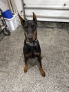 Eli Foster Needed!