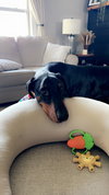Kaiser Foster Needed