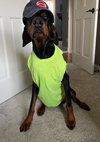 Kaiser Foster Needed