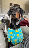 Kaiser Foster Needed