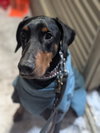 Kaiser