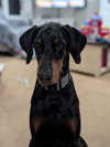 Kaiser