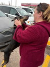 Blu FOSTER NEEDED