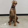 Zeus Foster Needed!!
