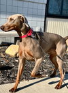 Zeus Foster Needed!!