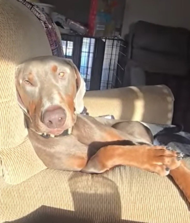 Zeus