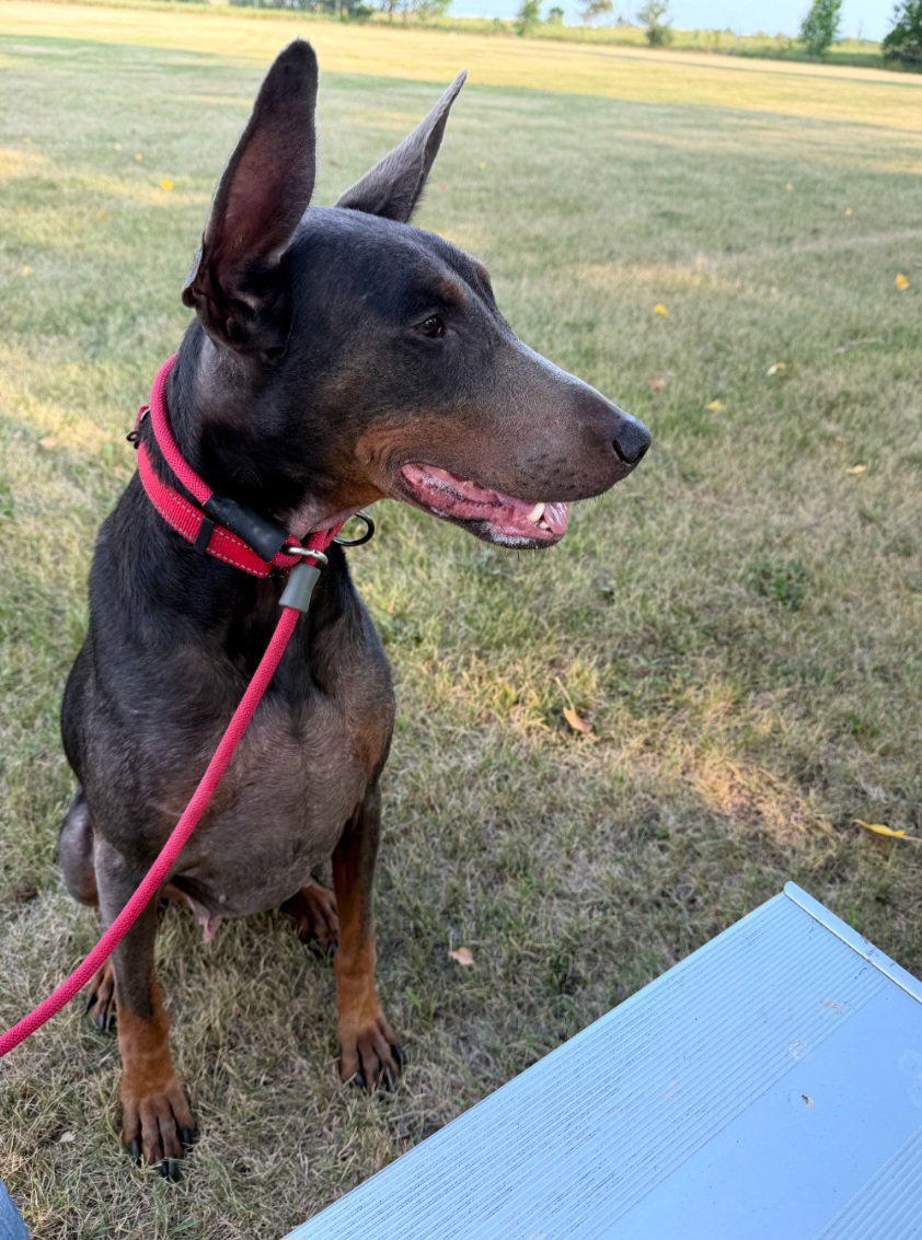 Maggie, photo 3