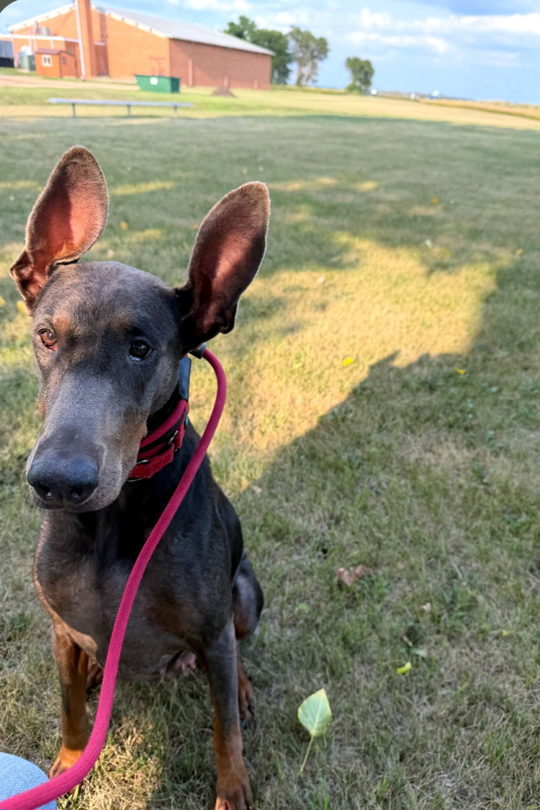 Maggie, photo 11