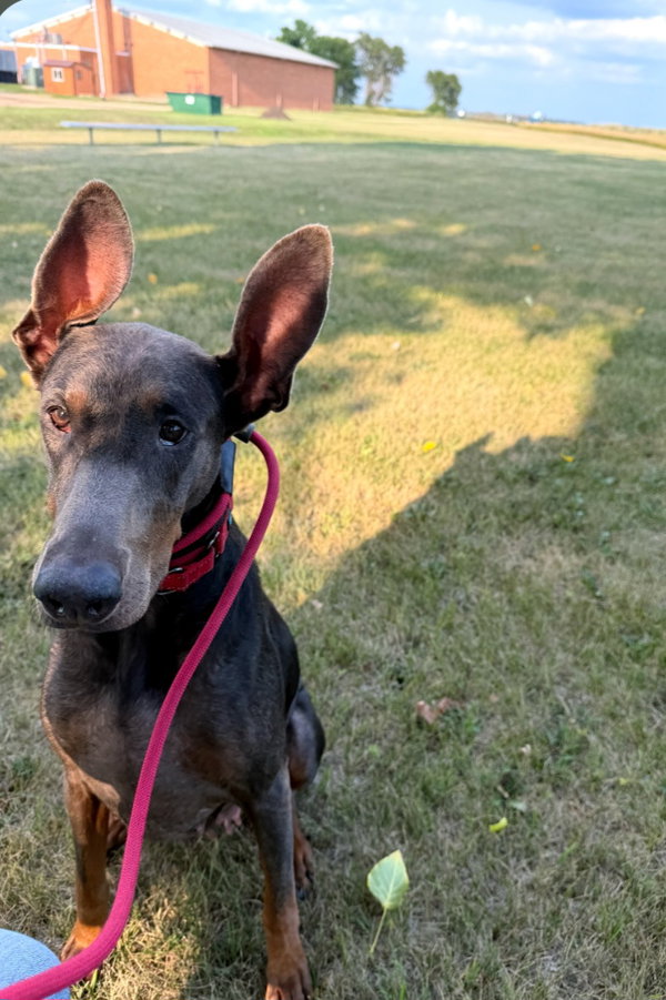 Maggie