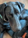 Onyx