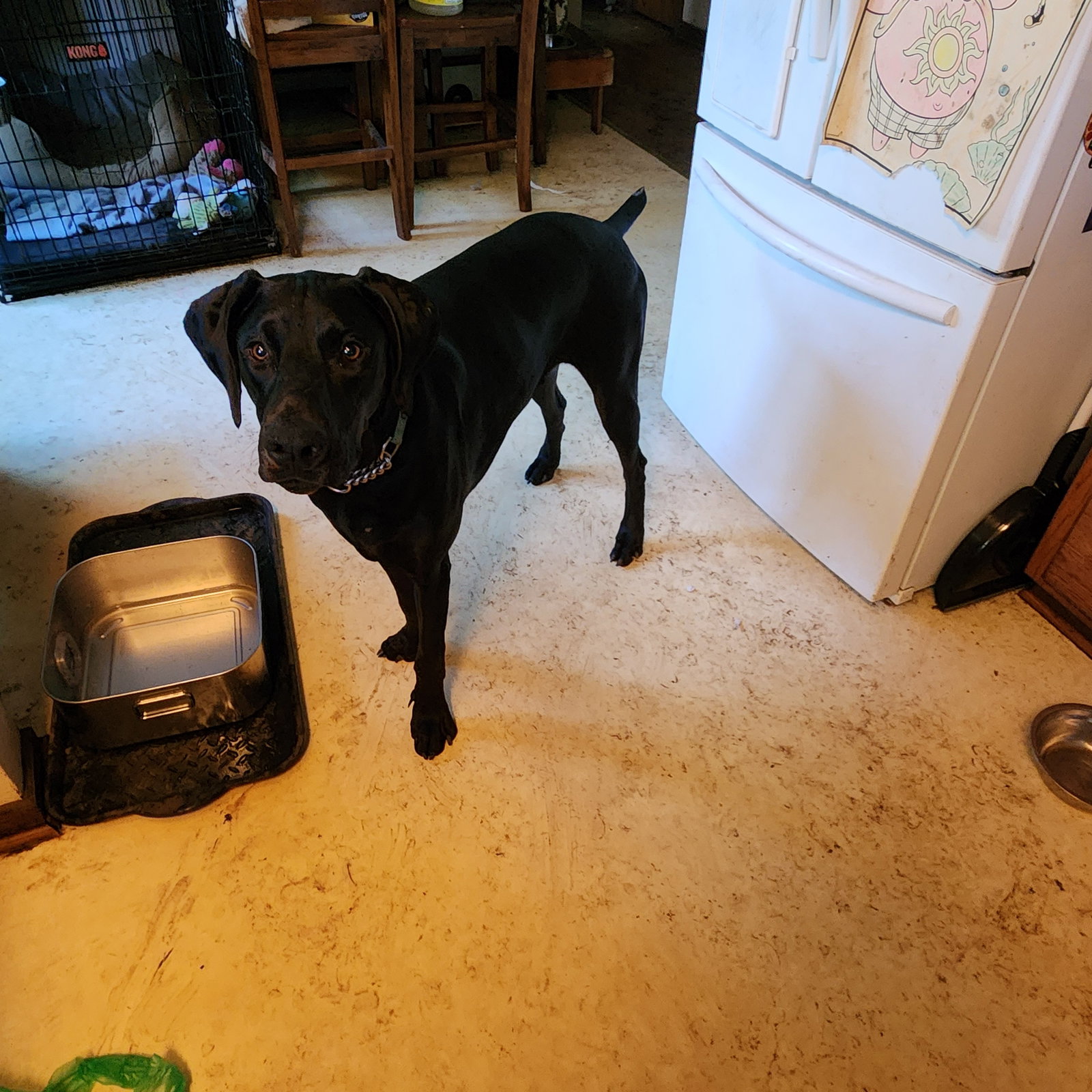 Onyx, photo 19