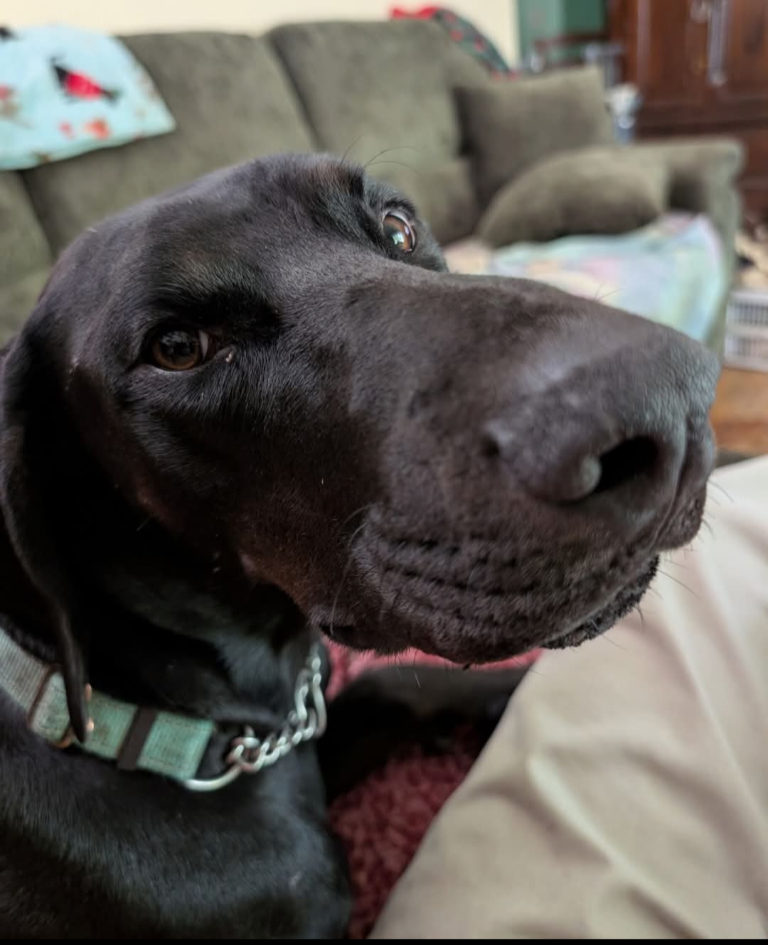 Onyx