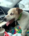 Otis Foster Needed!