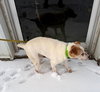 Otis Foster Needed!