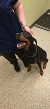 Duke Foster Needed!