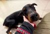 Duke Foster Needed!
