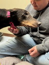 Nellie Foster Needed!