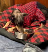 Nellie Foster Needed!