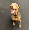 Titan Foster Needed!