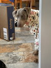 Titan Foster needed!!
