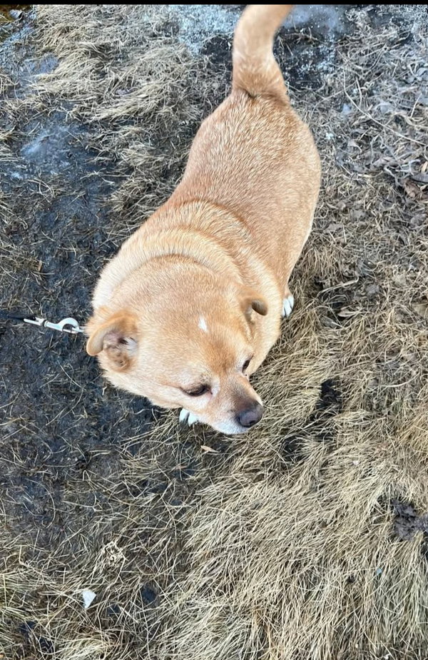 Pedro