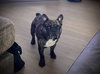 Bash Foster needed!