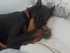 Tootsie