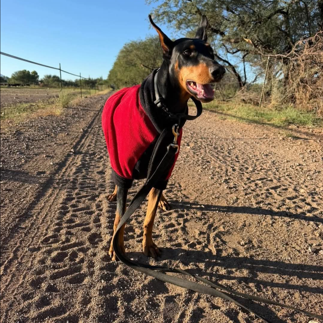 Tootsie, photo 18