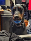 Enzo Foster needed!
