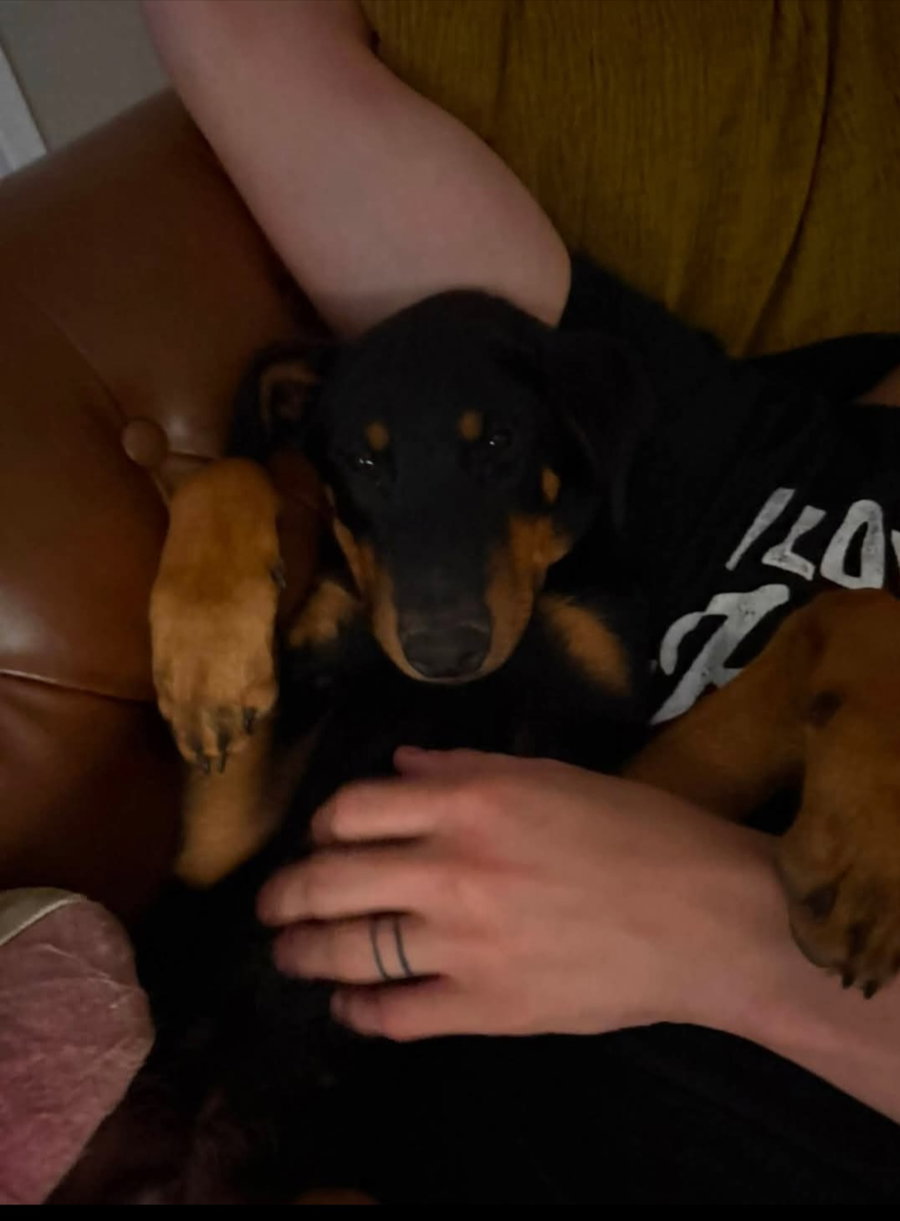 Milo