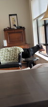 Moose 2.0