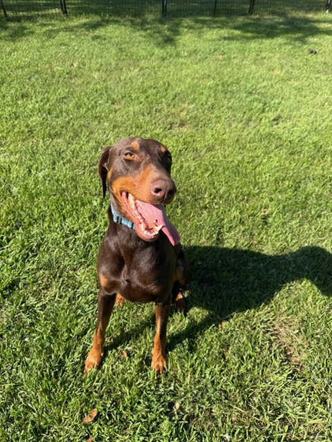 Atlas aka Doby Foster Needed!
