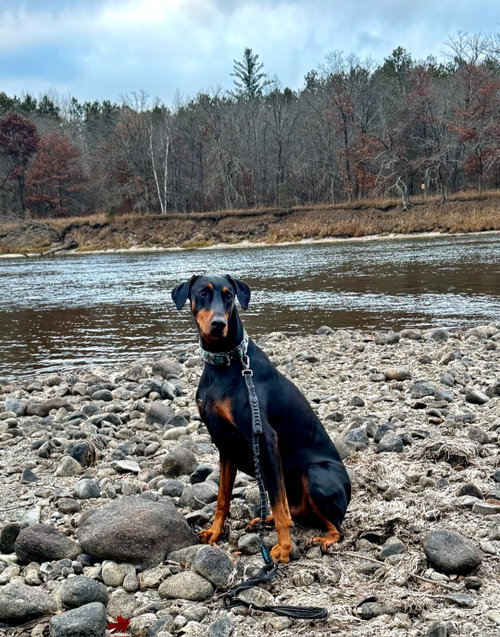 Talos Foster Needed!!, photo 2