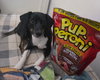 Chester Foster needed!!!