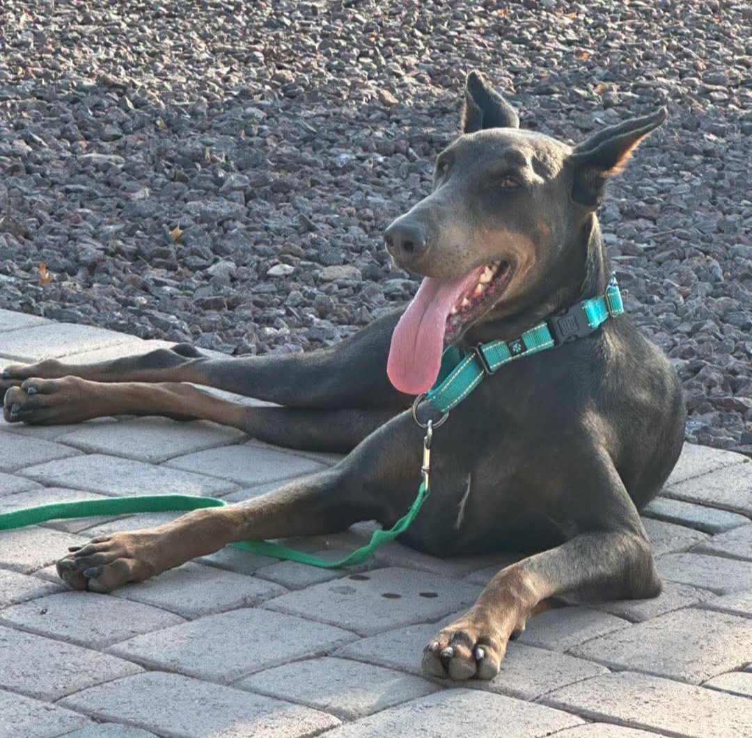 Diamond, photo 22