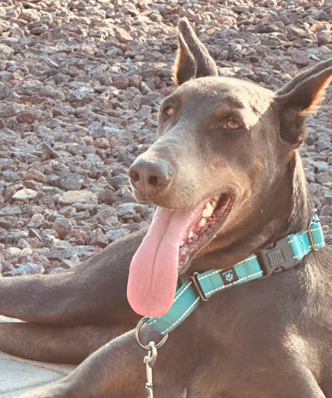 Diamond, photo 23
