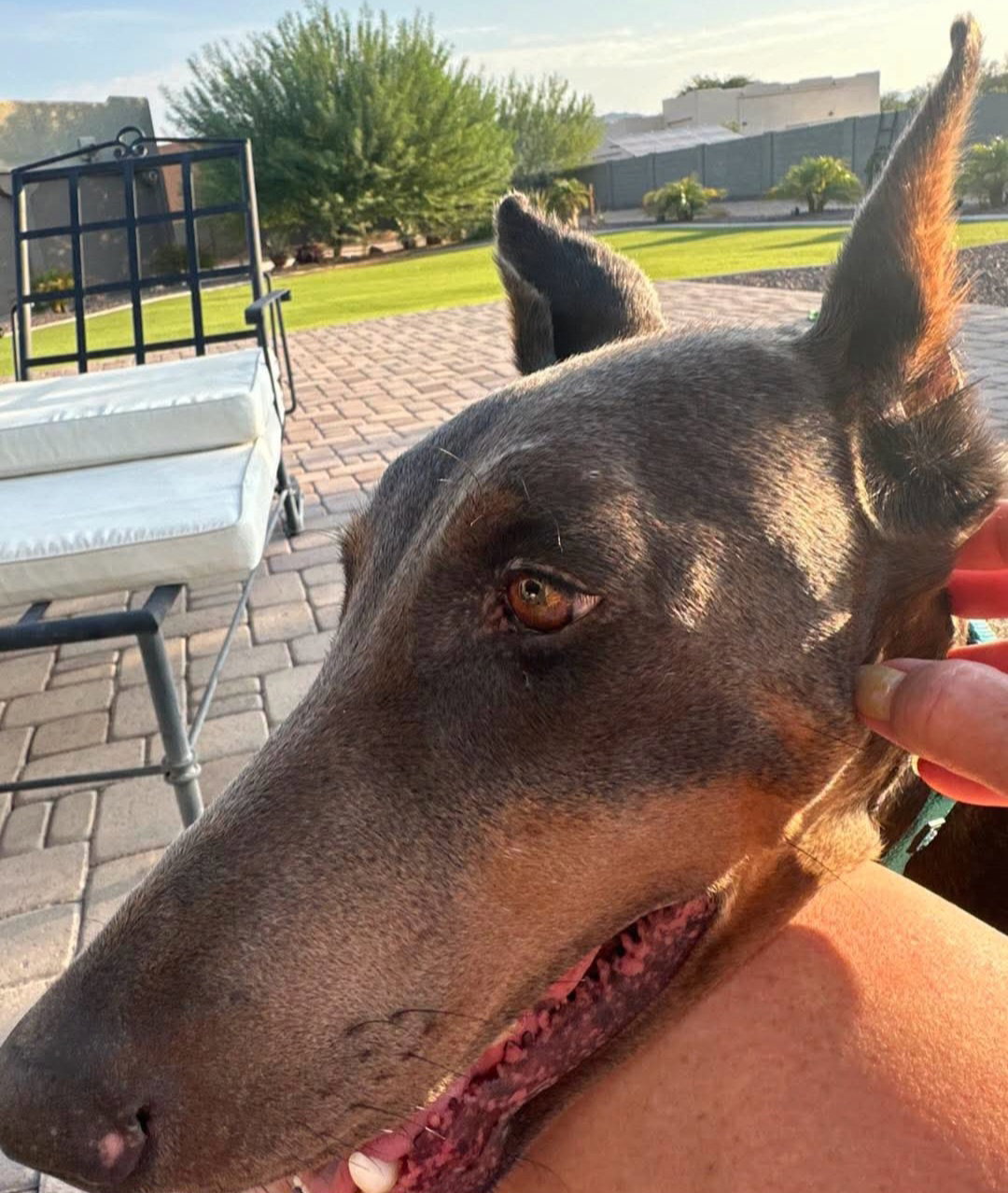 Diamond, photo 24
