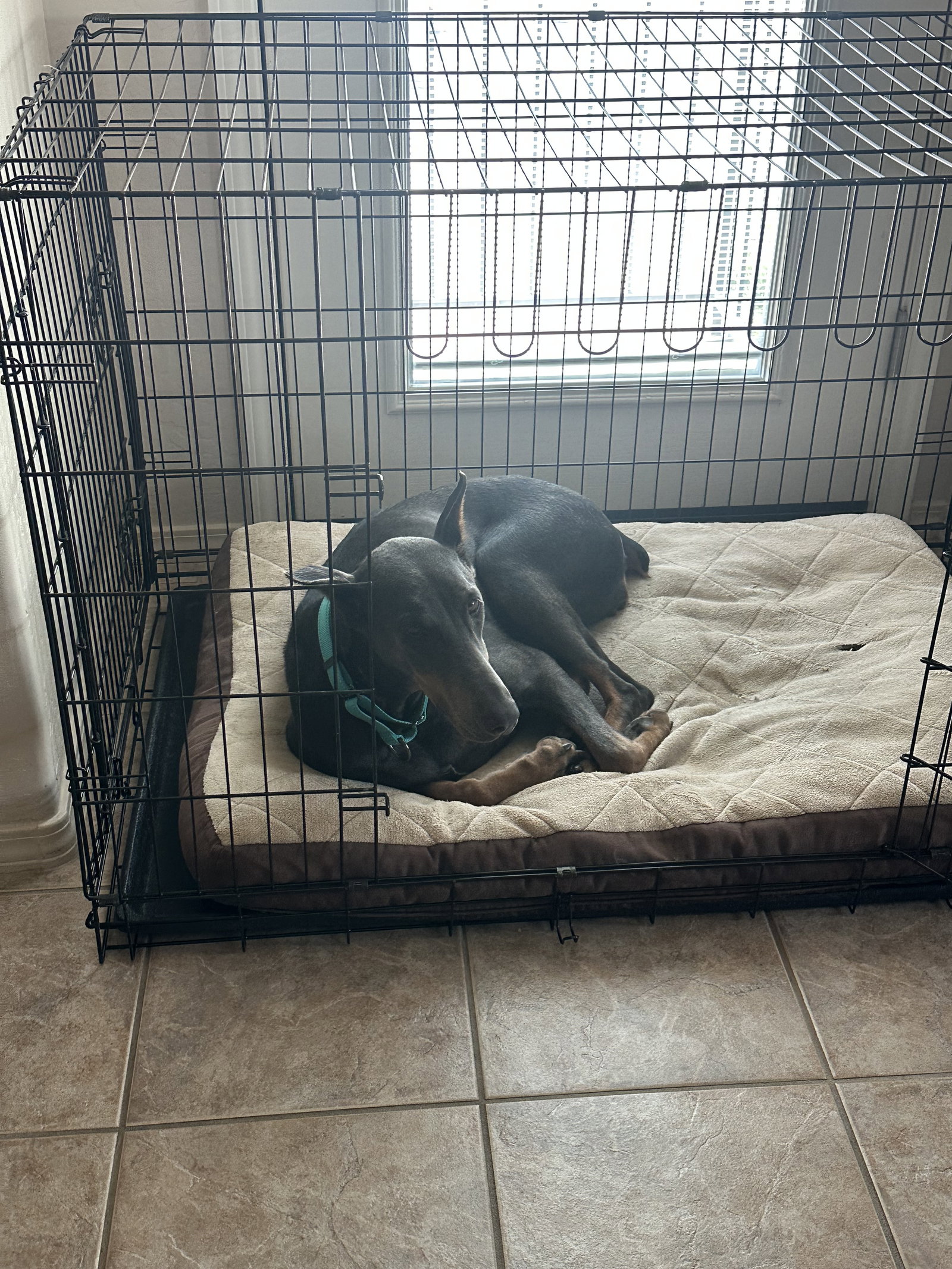 Diamond, photo 25