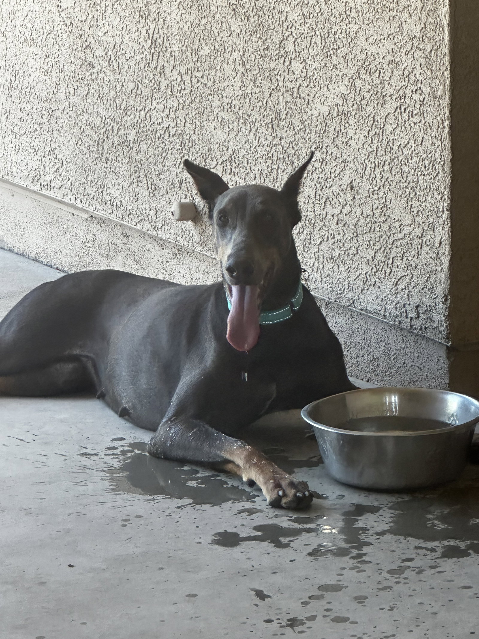 Diamond, photo 17
