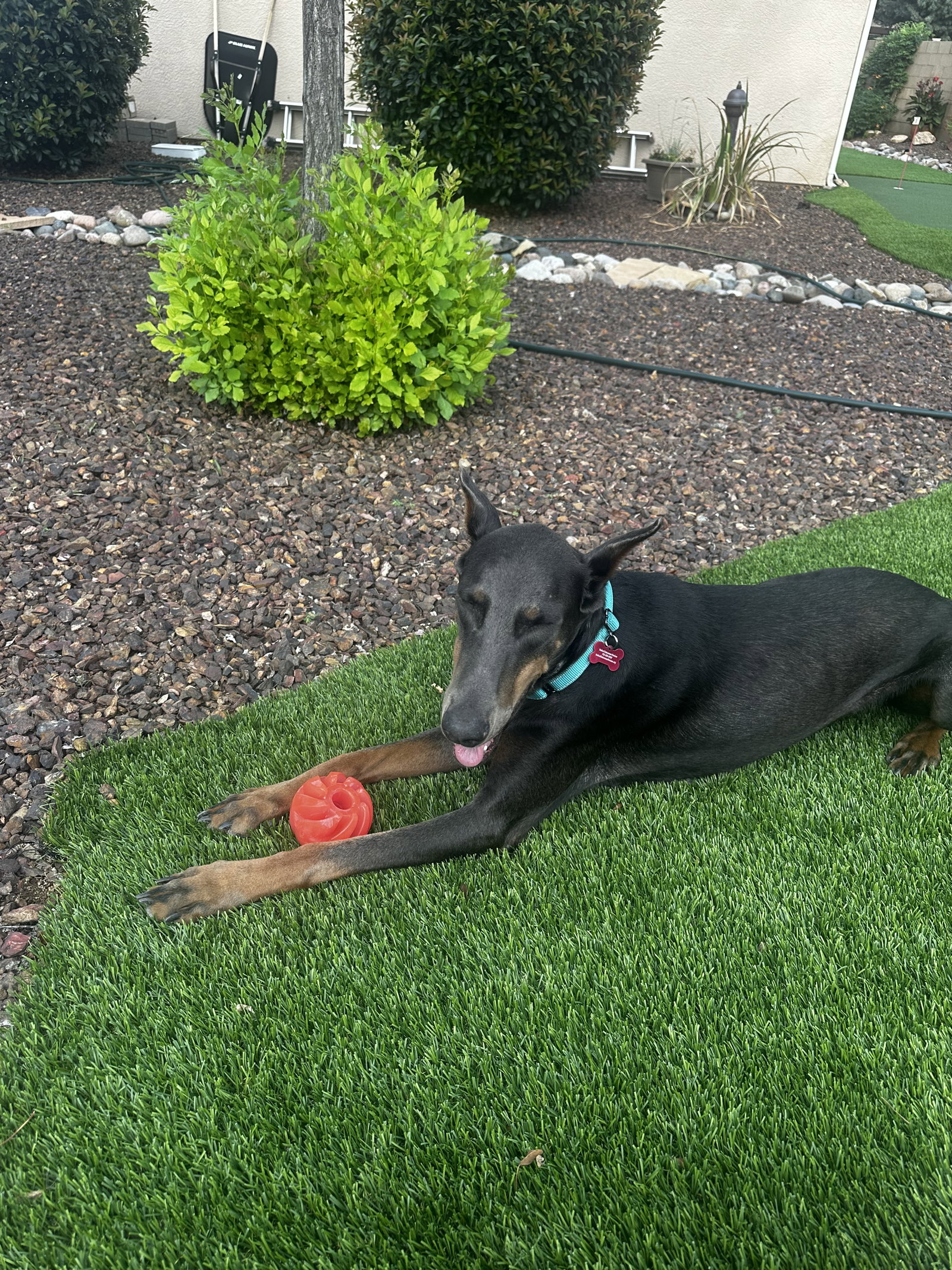 Diamond, photo 14
